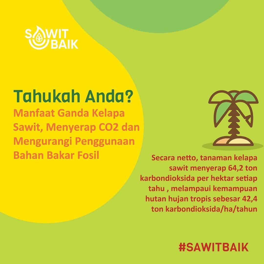 Sawit baik lingkungan Manfaat kelapa sawit