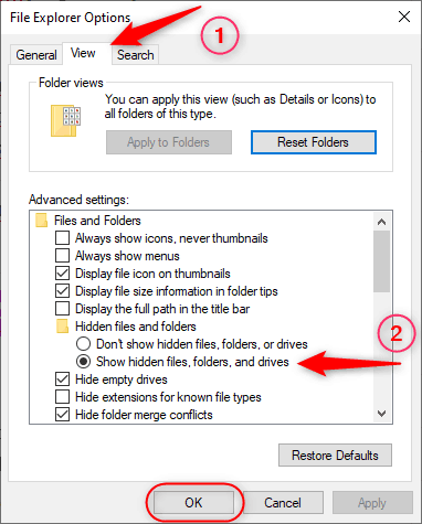 bring up hidden files in windows file explorer