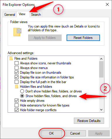 memunculkan file tersembunyi di windows file explorer